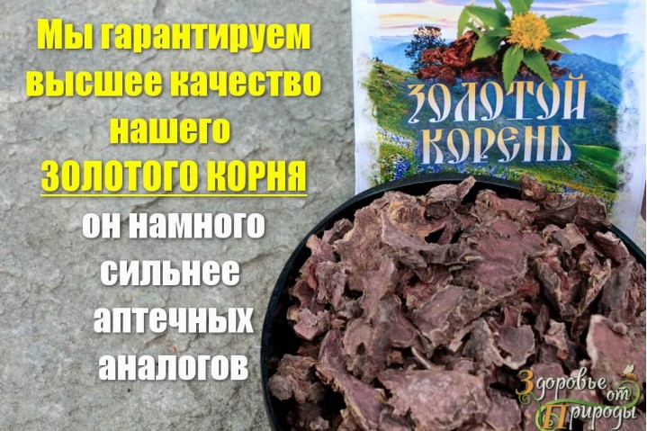 Читать книгу: «Энциклопедия народной медицины. Золотая коллекция народных рецептов», страница 3